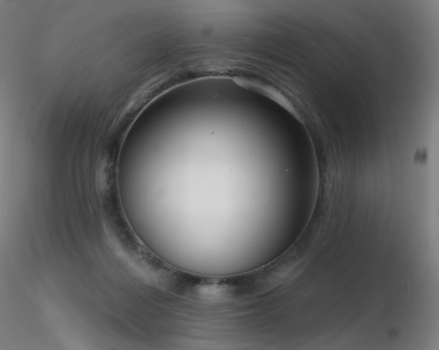 X0000116810216200912181352