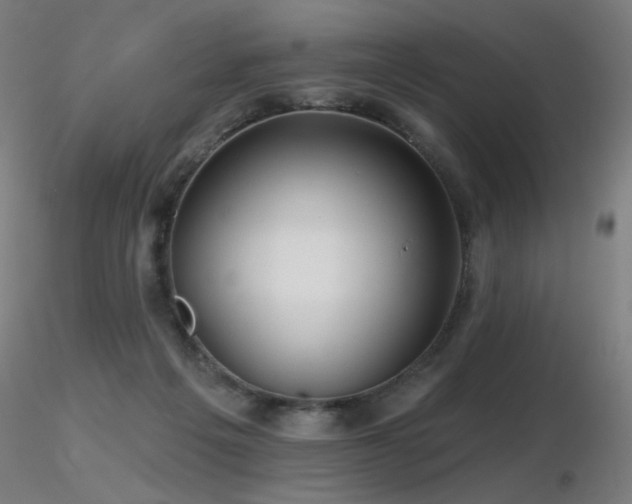 X0000116810217200912181352