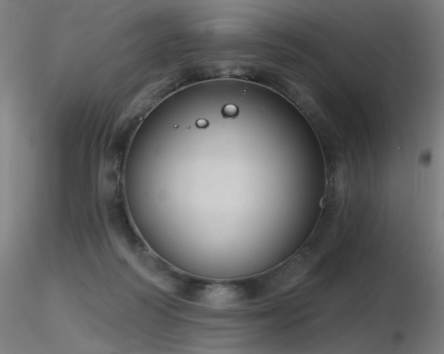 X0000116810218200912181352