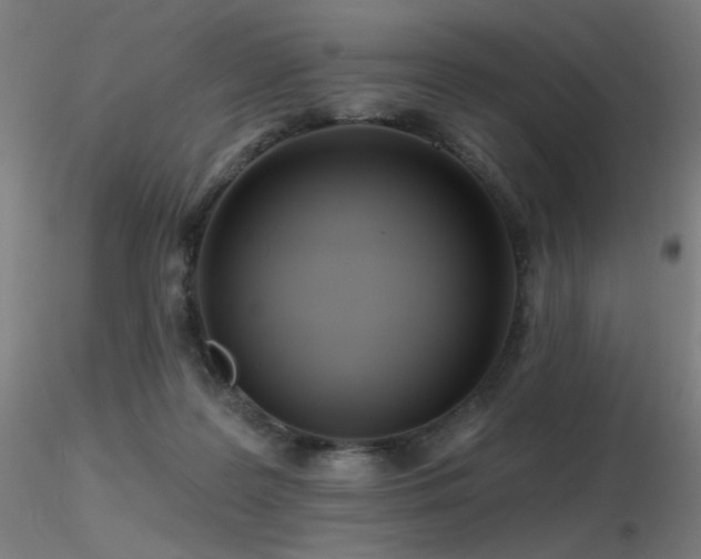 X0000116810219200912181352