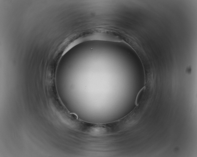 X0000116810220200912181352