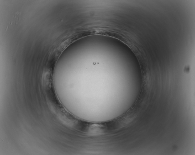 X0000116810222200912181352