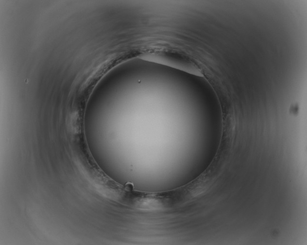 X0000116810224200912181352