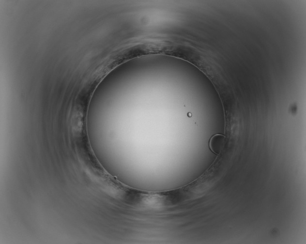 X0000116810226200912181352