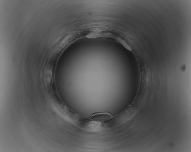 X0000116810227200912181352