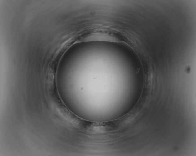 X0000116810228200912181352