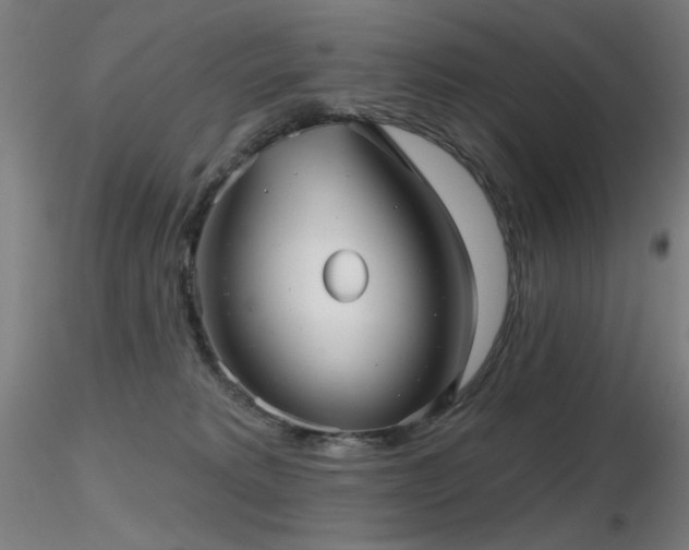 X0000116810229200912181352