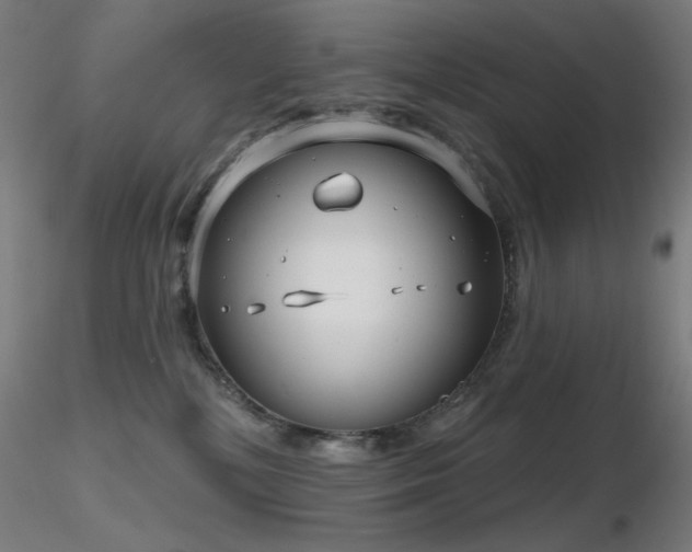 X0000116810232200912181352