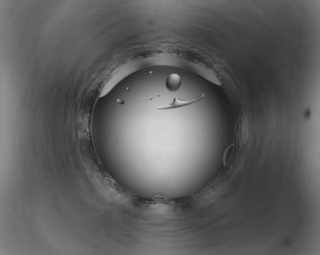 X0000116810236200912181352