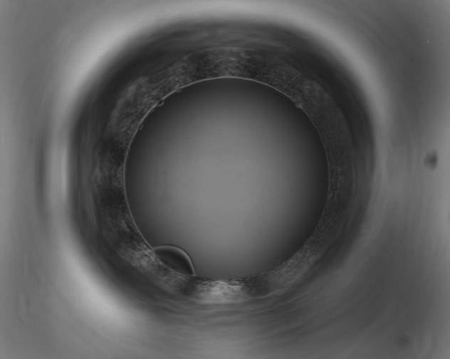 X0000116810239200912181352