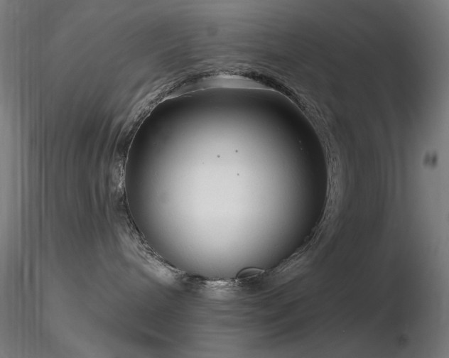 X0000116810240200912181352