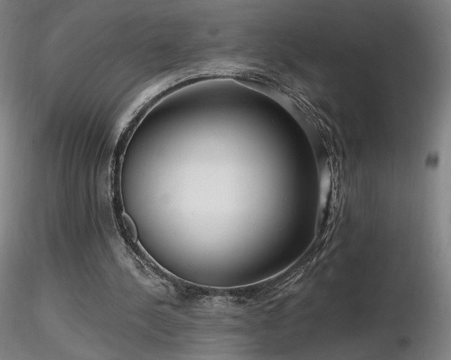 X0000116810244200912181351