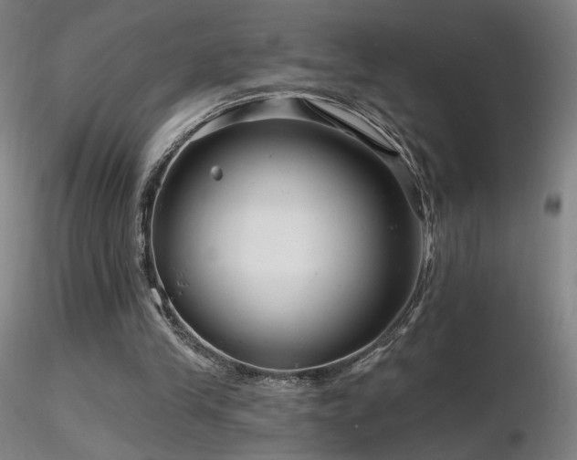 X0000116810245200912181351