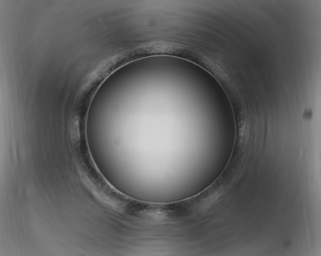 X0000116810254200912181351