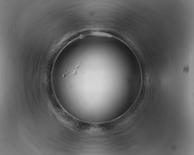 X0000116810256200912181351