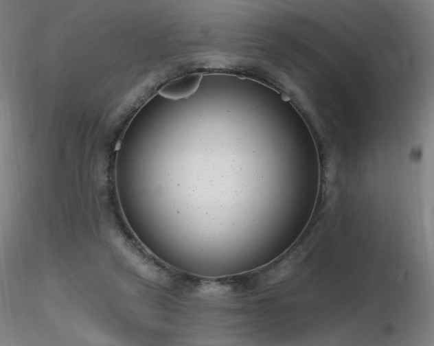 X0000116810257200912181351