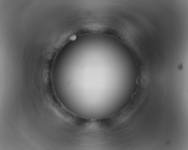 X0000116810259200912181351
