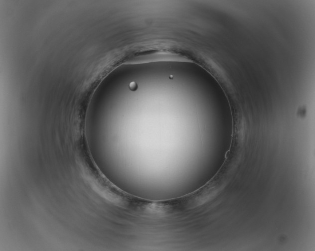 X0000116810261200912181351