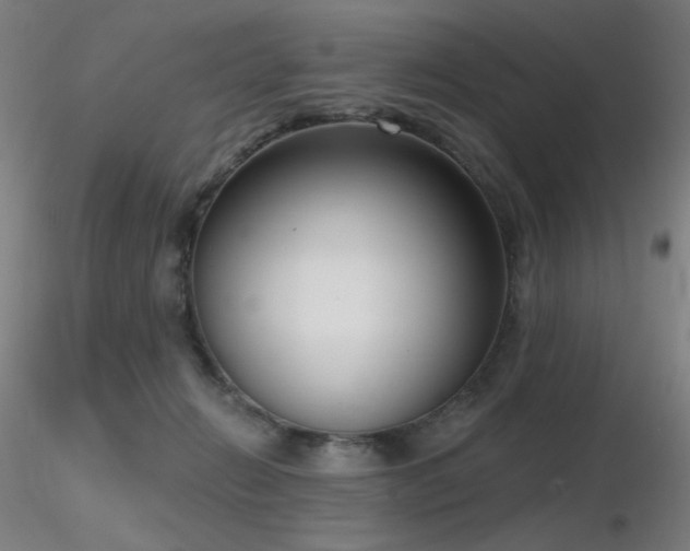 X0000116810270200912181352