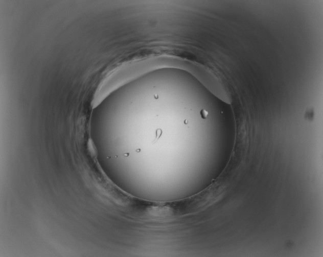 X0000116810271200912181352