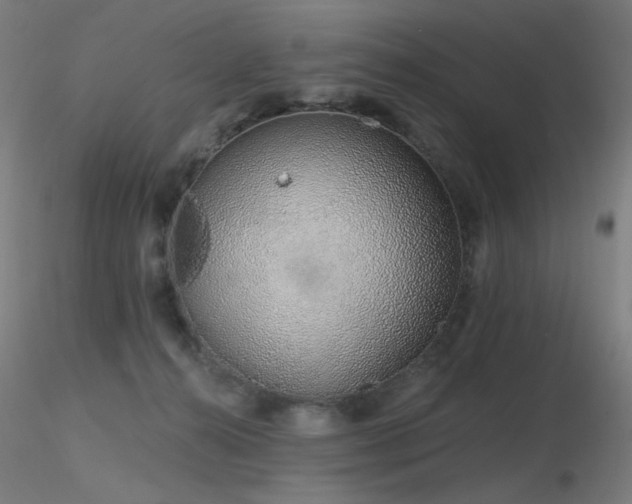 X0000116810272200912181352