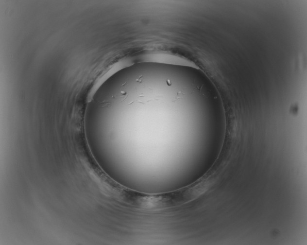 X0000116810273200912181352