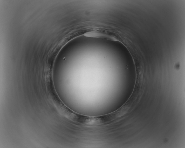 X0000116810274200912181352