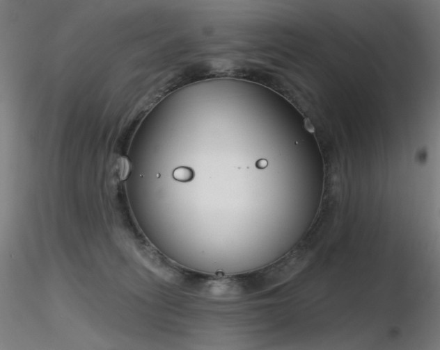 X0000116810275200912181352