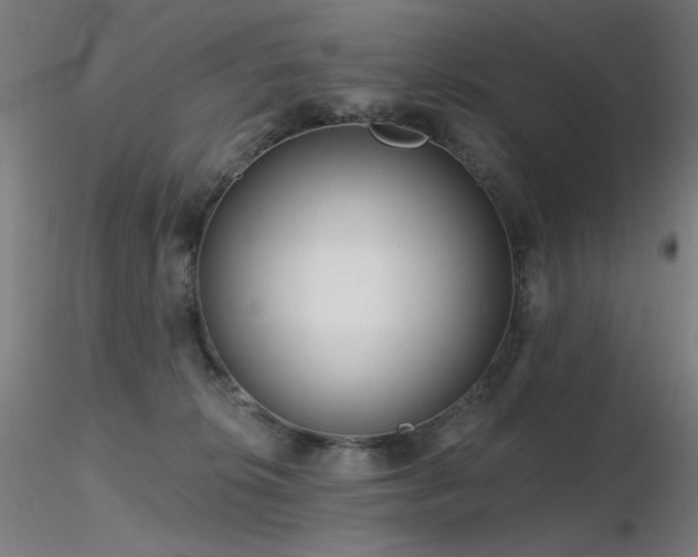 X0000116810276200912181352