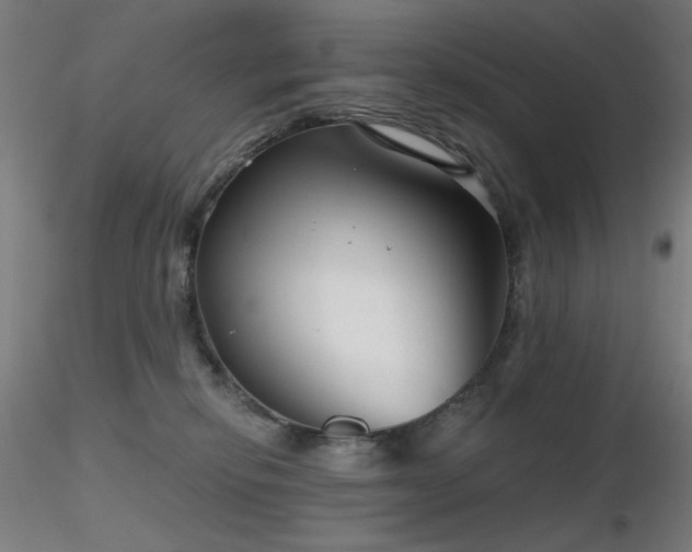 X0000116810278200912181352