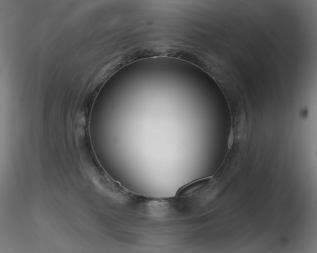 X0000116810279200912181352