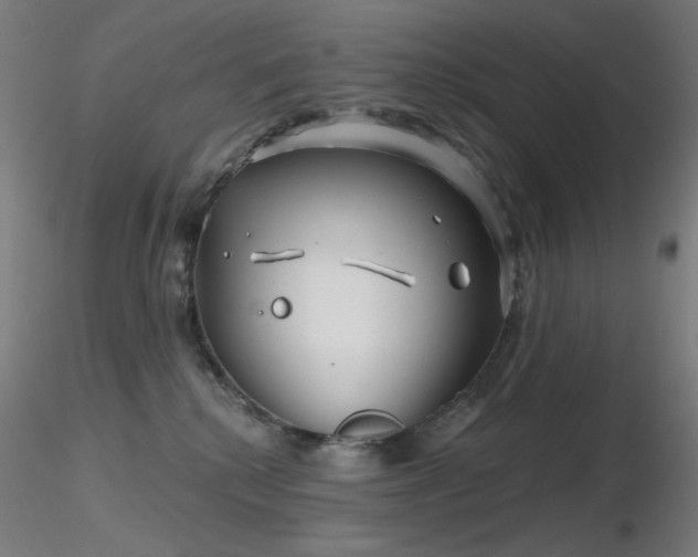 X0000116810280200912181352