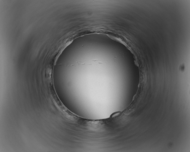 X0000116810281200912181352