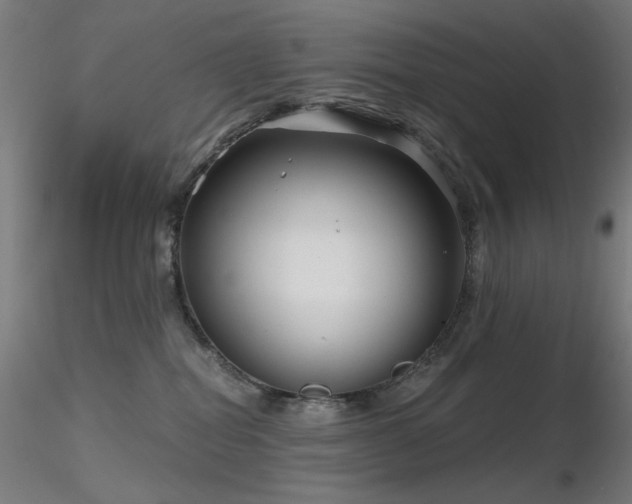 X0000116810282200912181352