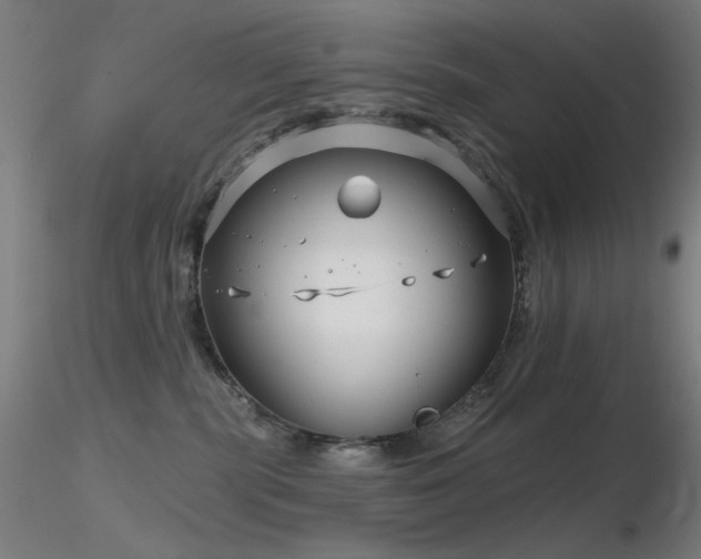 X0000116810283200912181352