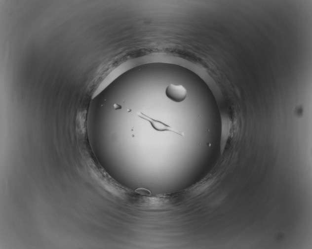 X0000116810286200912181352