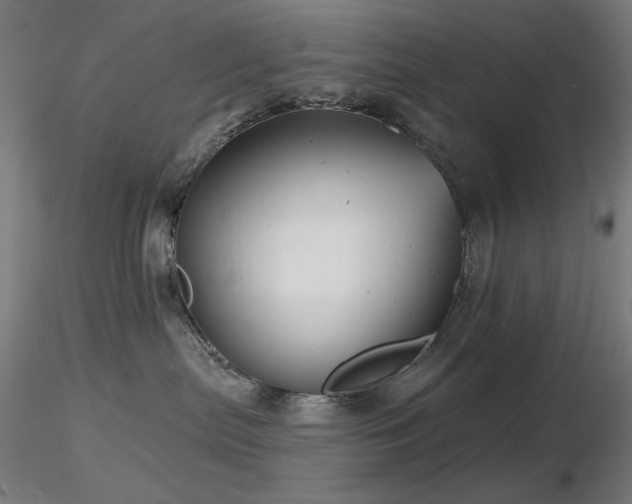 X0000116810287200912181352