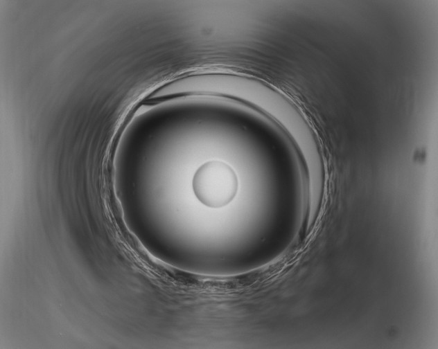 X0000116810289200912181351