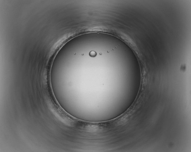 X0000116810298200912181351