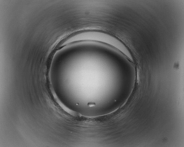 X0000116810300200912181351