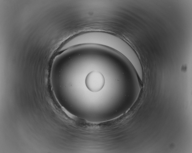 X0000116810301200912181351