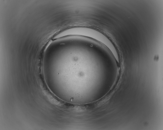X0000116810305200912181351