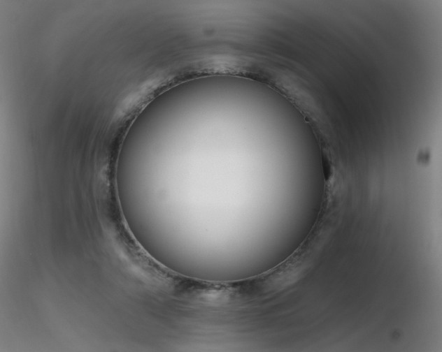 X0000116810306200912181351