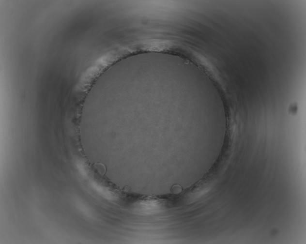 X0000116810307200912181351
