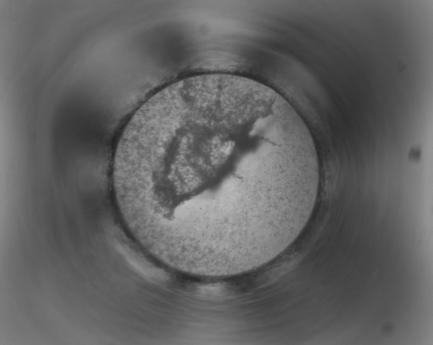 X0000116810309200912181351