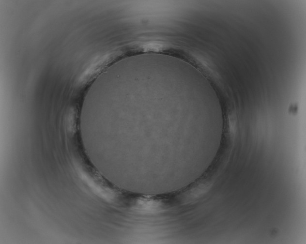 X0000116810311200912181351