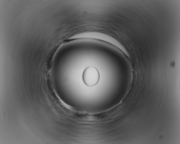 X0000116810316200912181351