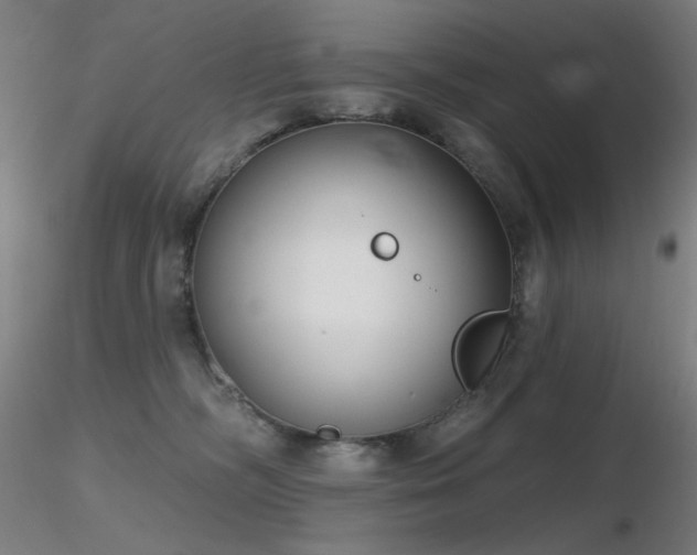 X0000116810326200912181351
