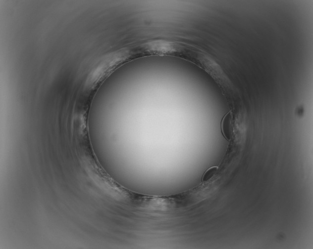 X0000116810330200912181351