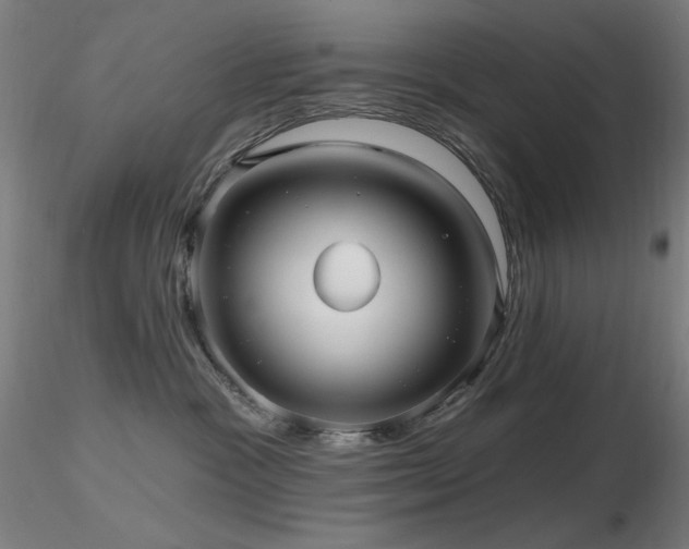 X0000116810333200912181350